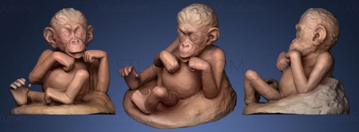 3D мадэль Новорожденный шимпанзе (STL)